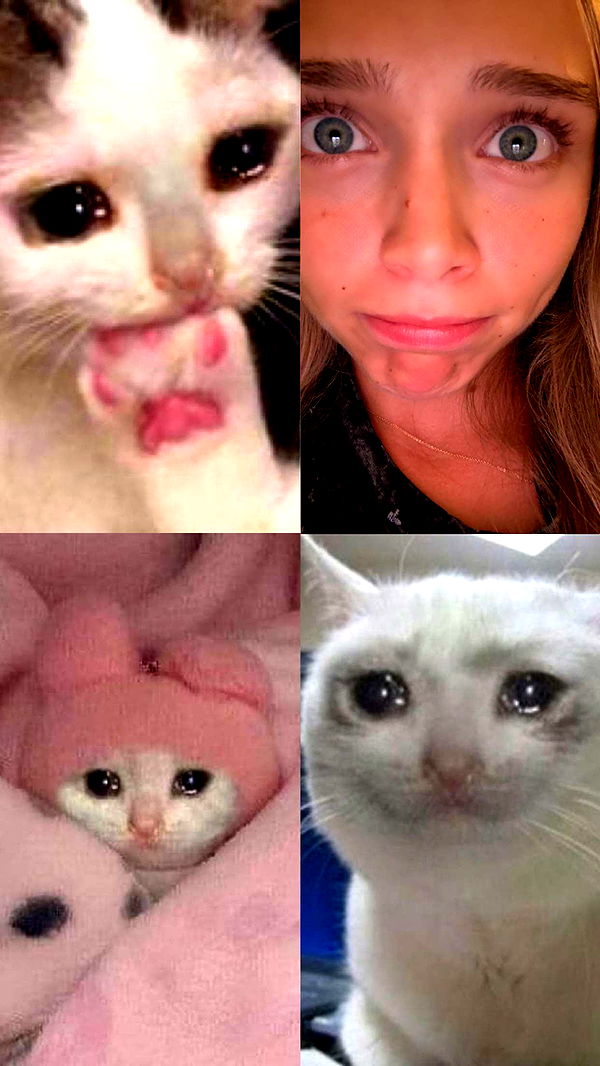 kydoddss image ~ Altpins