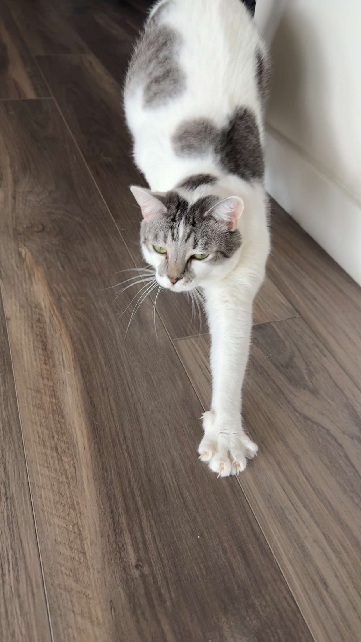 kydoddss snapchat image archive image