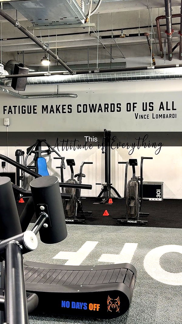 kydoddss image ~ Altpins