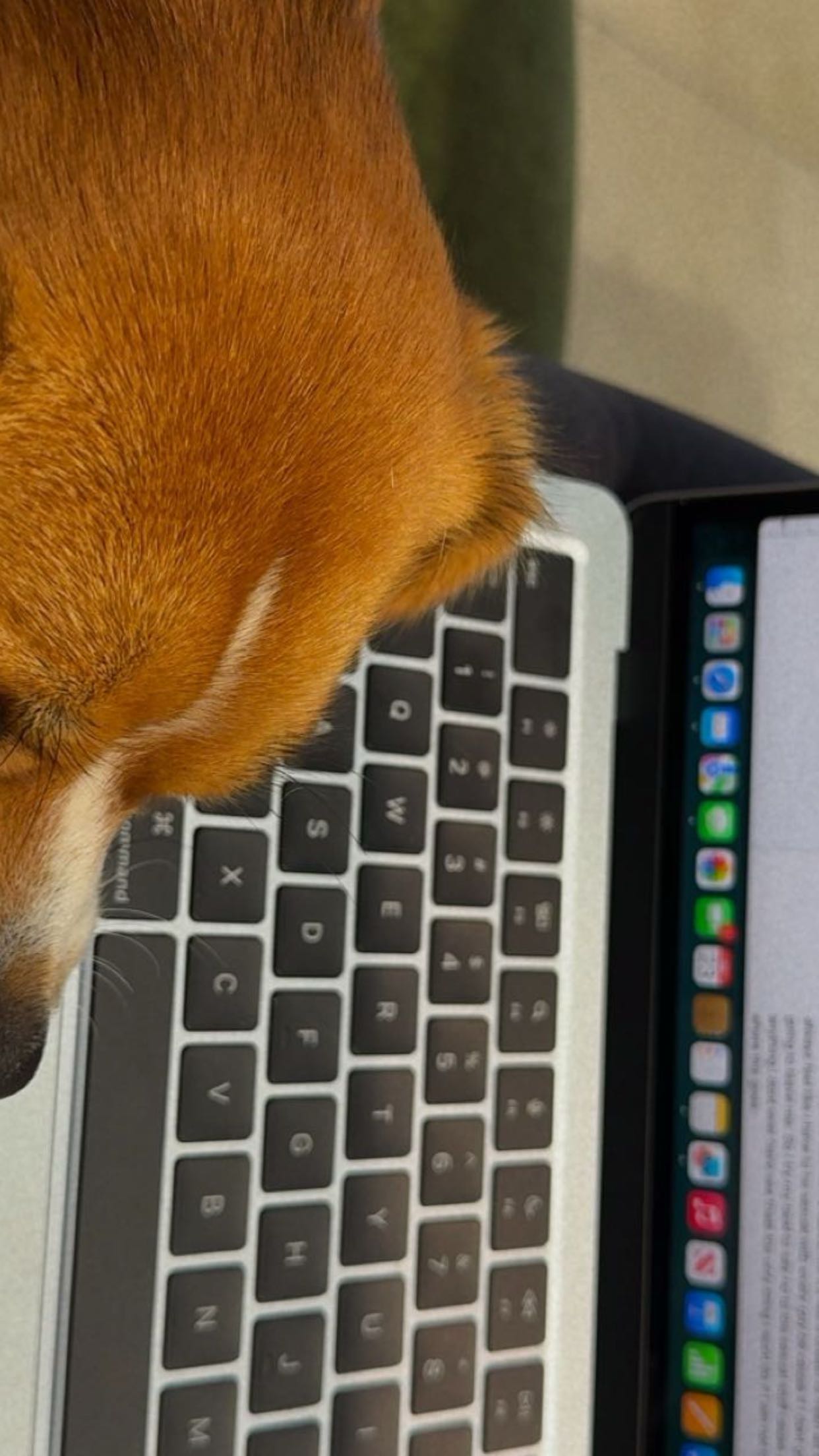 kydoddss snapchat image archive image