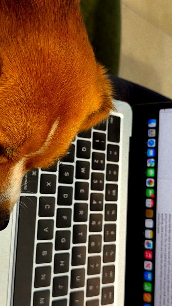 kydoddss image ~ Altpins