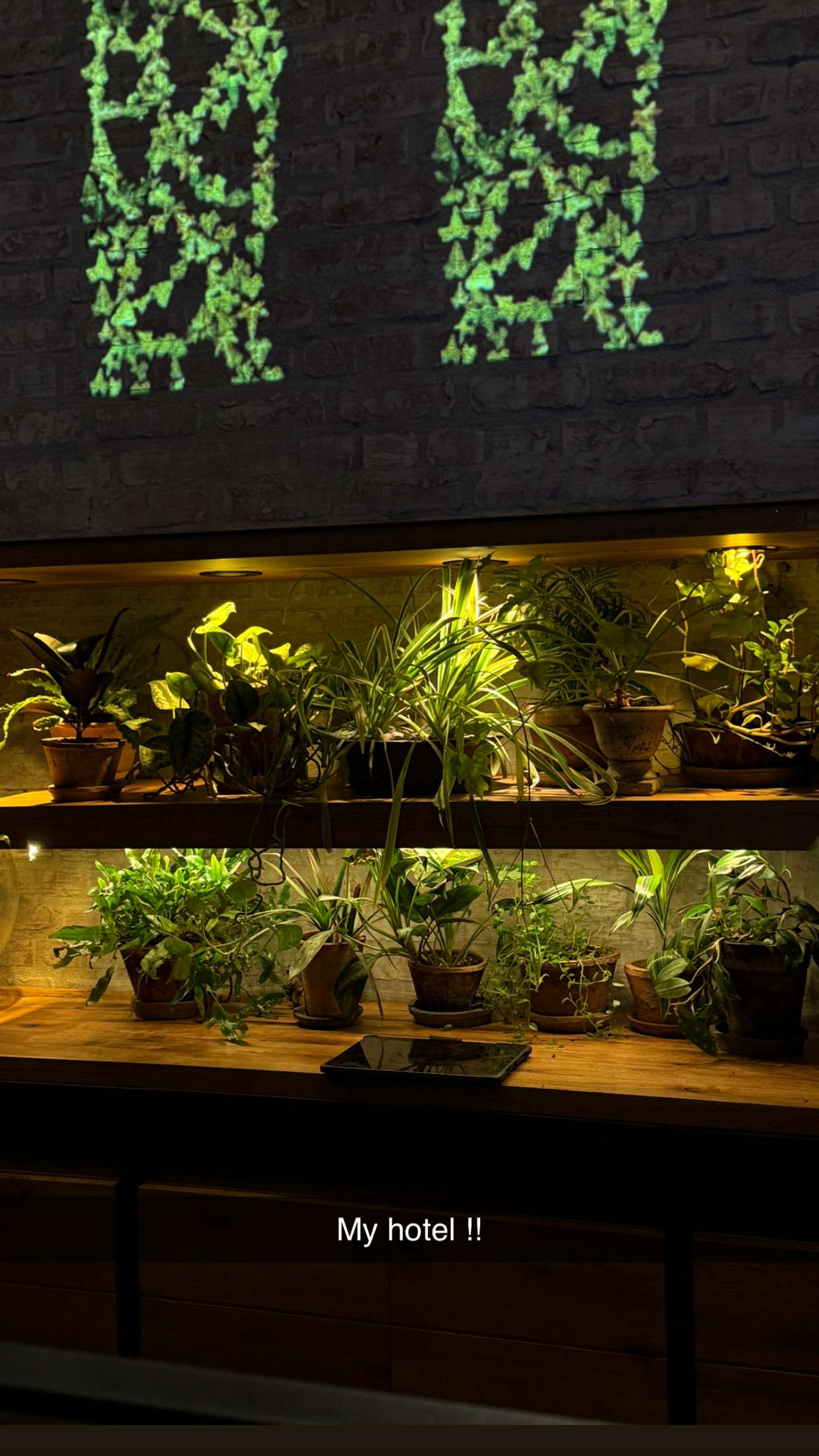 kydoddss snapchat image archive image