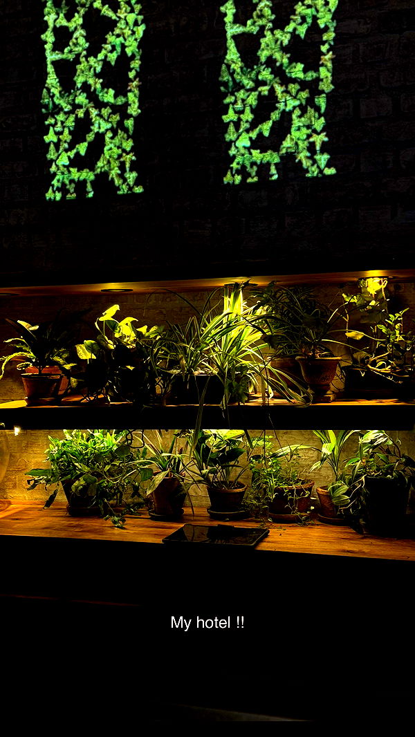 kydoddss image ~ Altpins