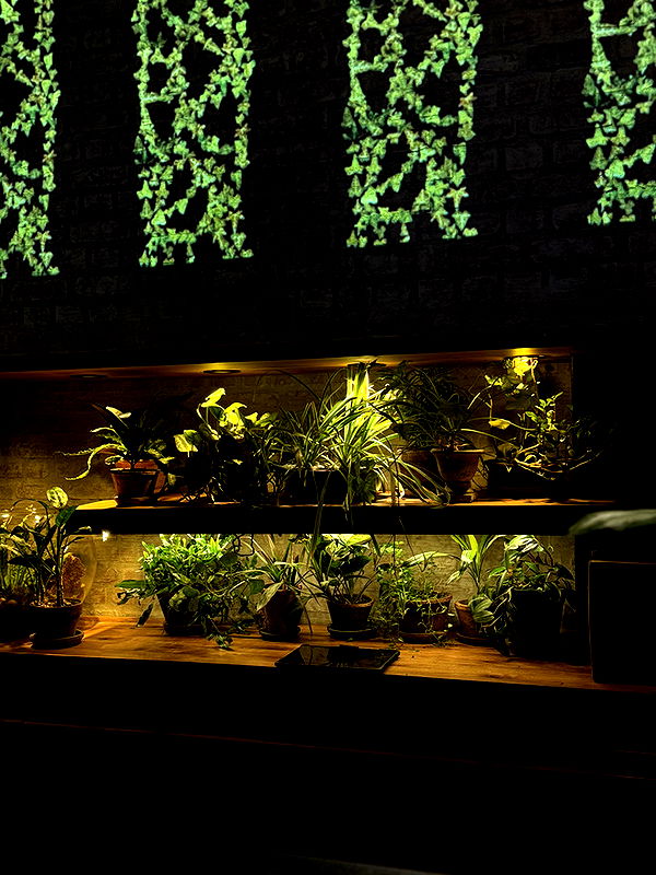 kydoddss image ~ Altpins