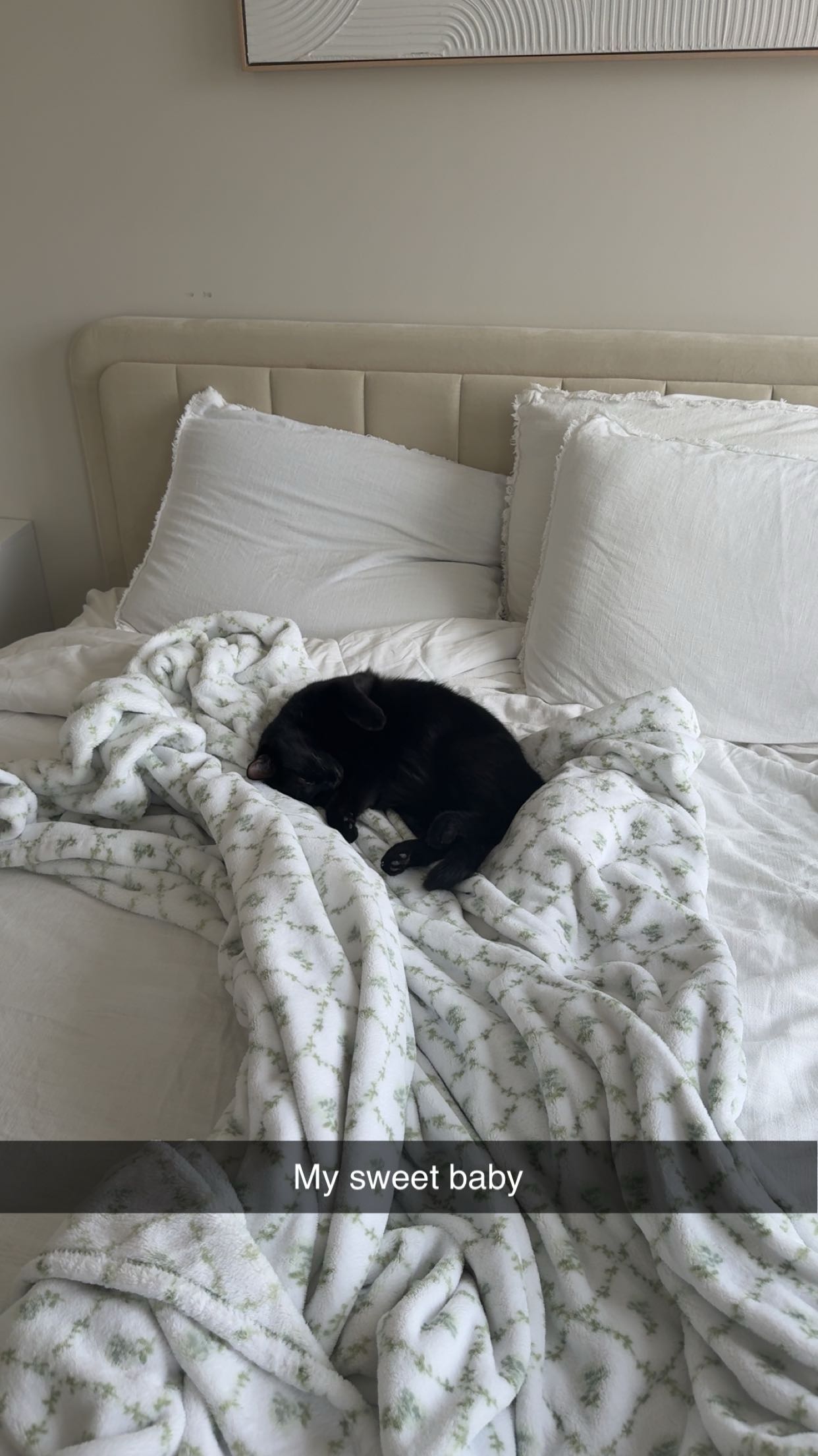 kydoddss snapchat image archive image