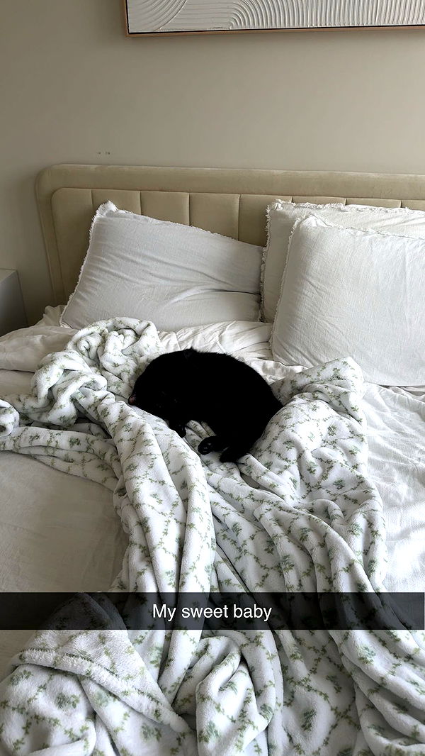 kydoddss image ~ Altpins