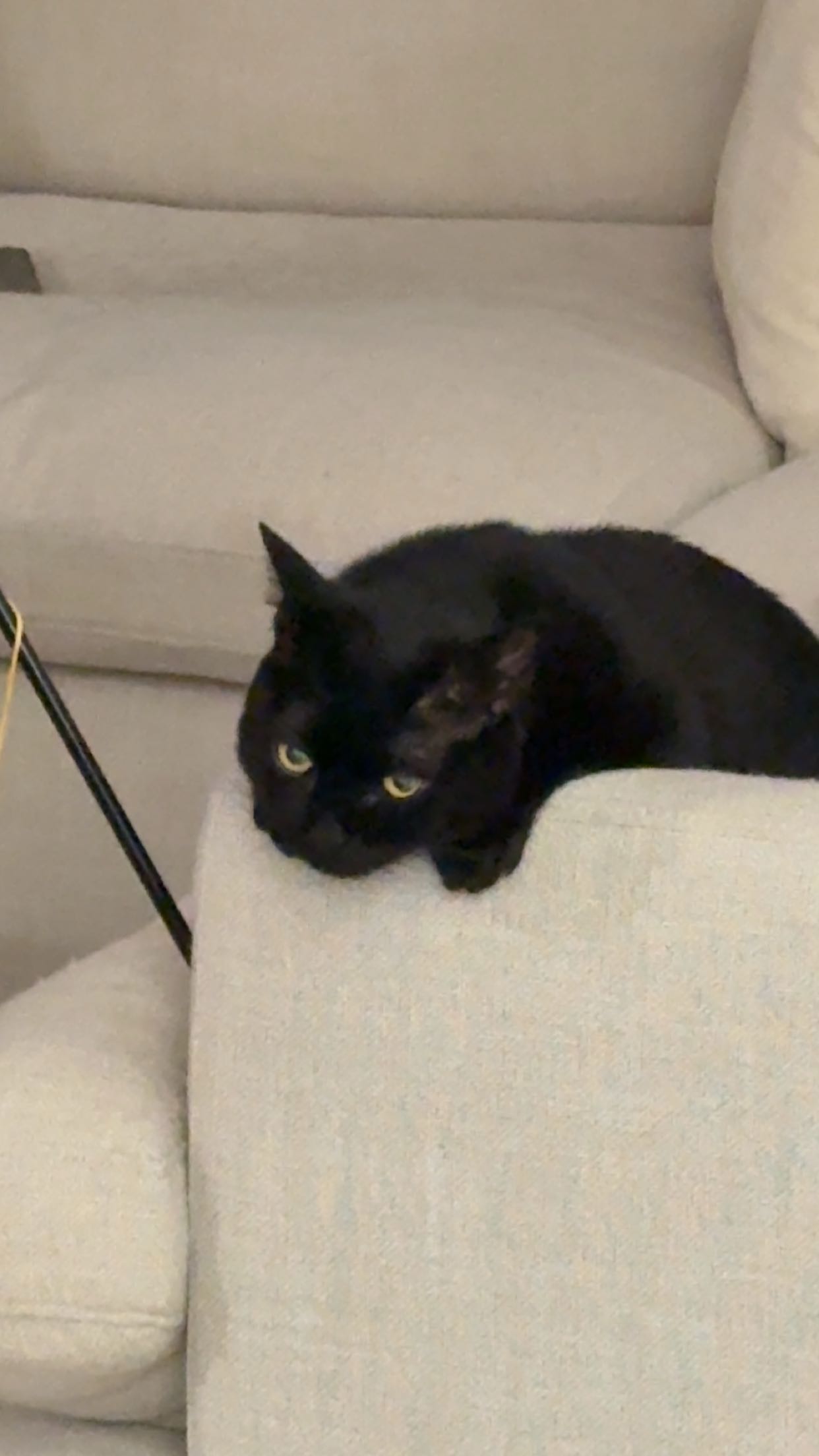 kydoddss snapchat image archive image