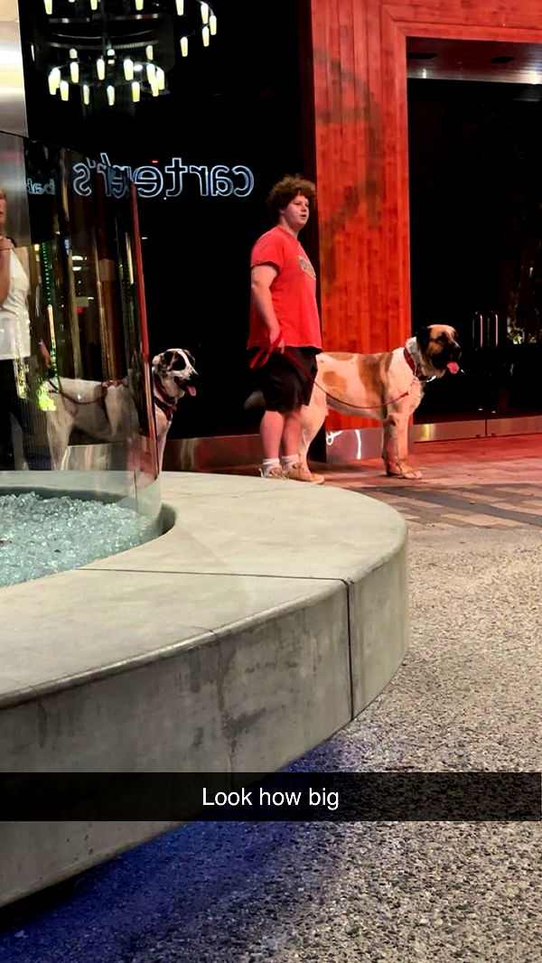 kydoddss image ~ Altpins