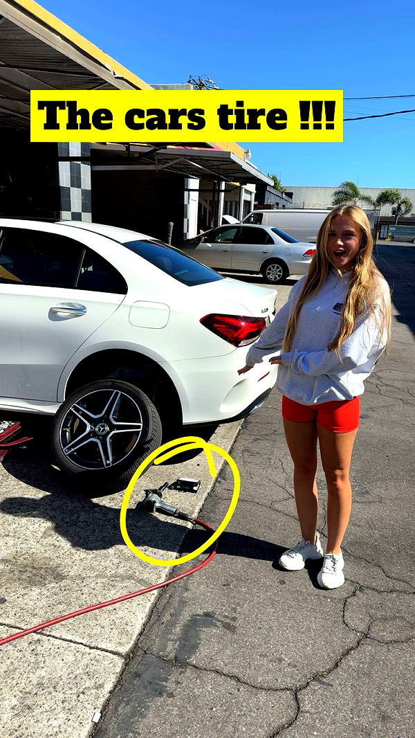 kydoddss image ~ Altpins