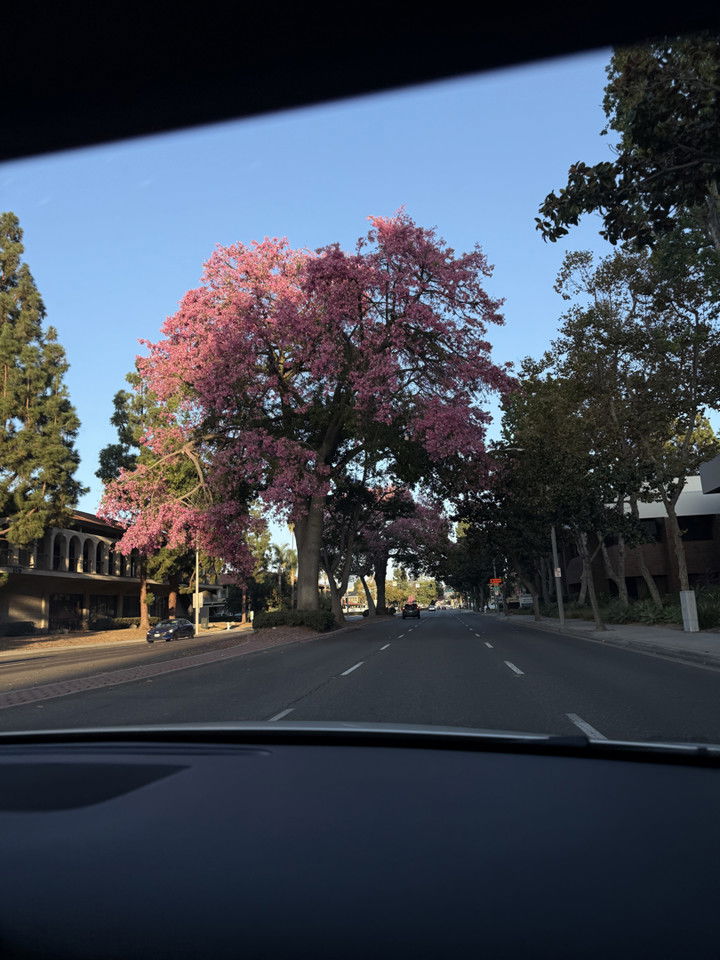 kydoddss snapchat image archive image