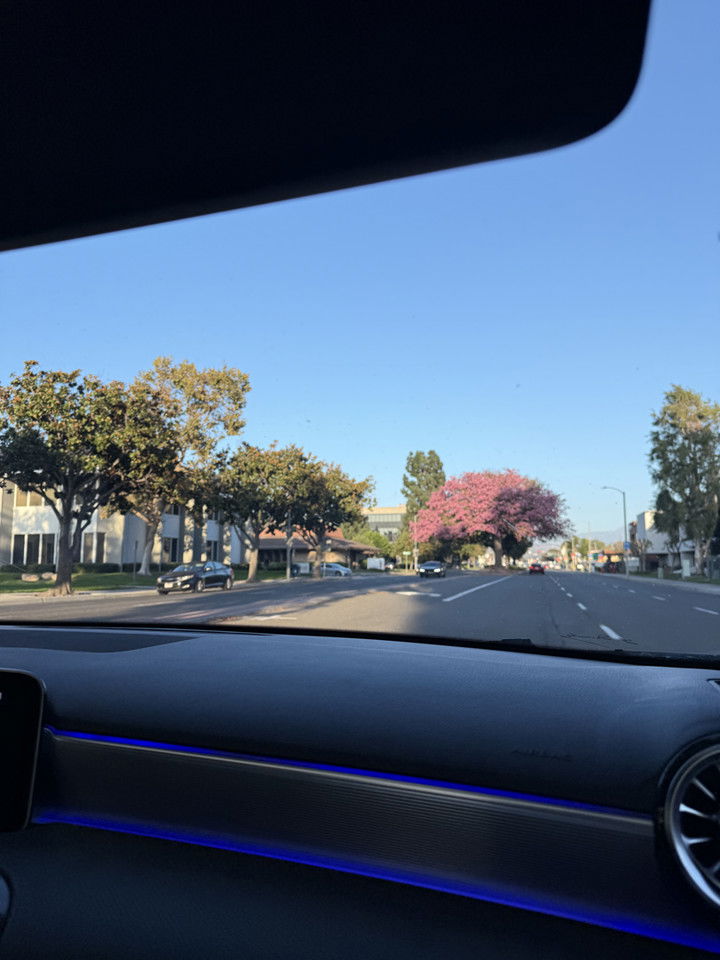 kydoddss snapchat image archive image