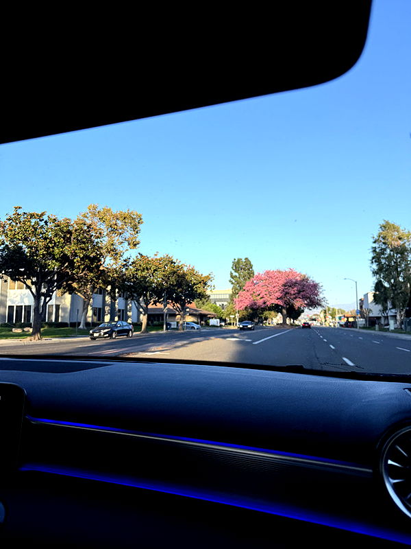 kydoddss image ~ Altpins