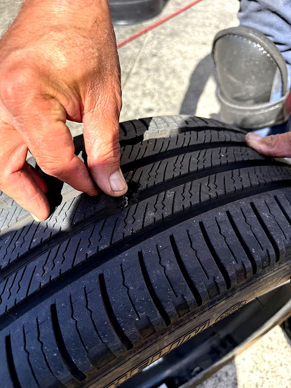 kydoddss image ~ Altpins