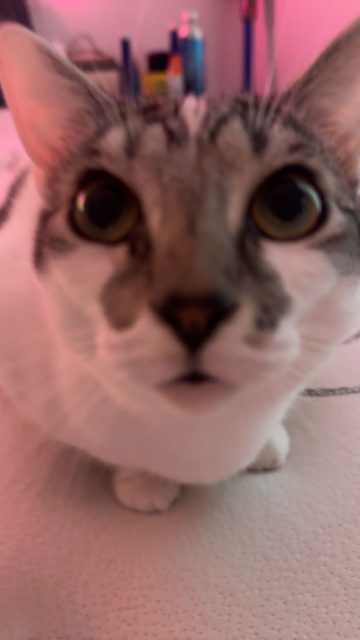 kydoddss snapchat image archive image