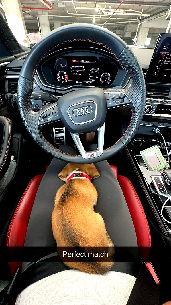 kydoddss image ~ Altpins