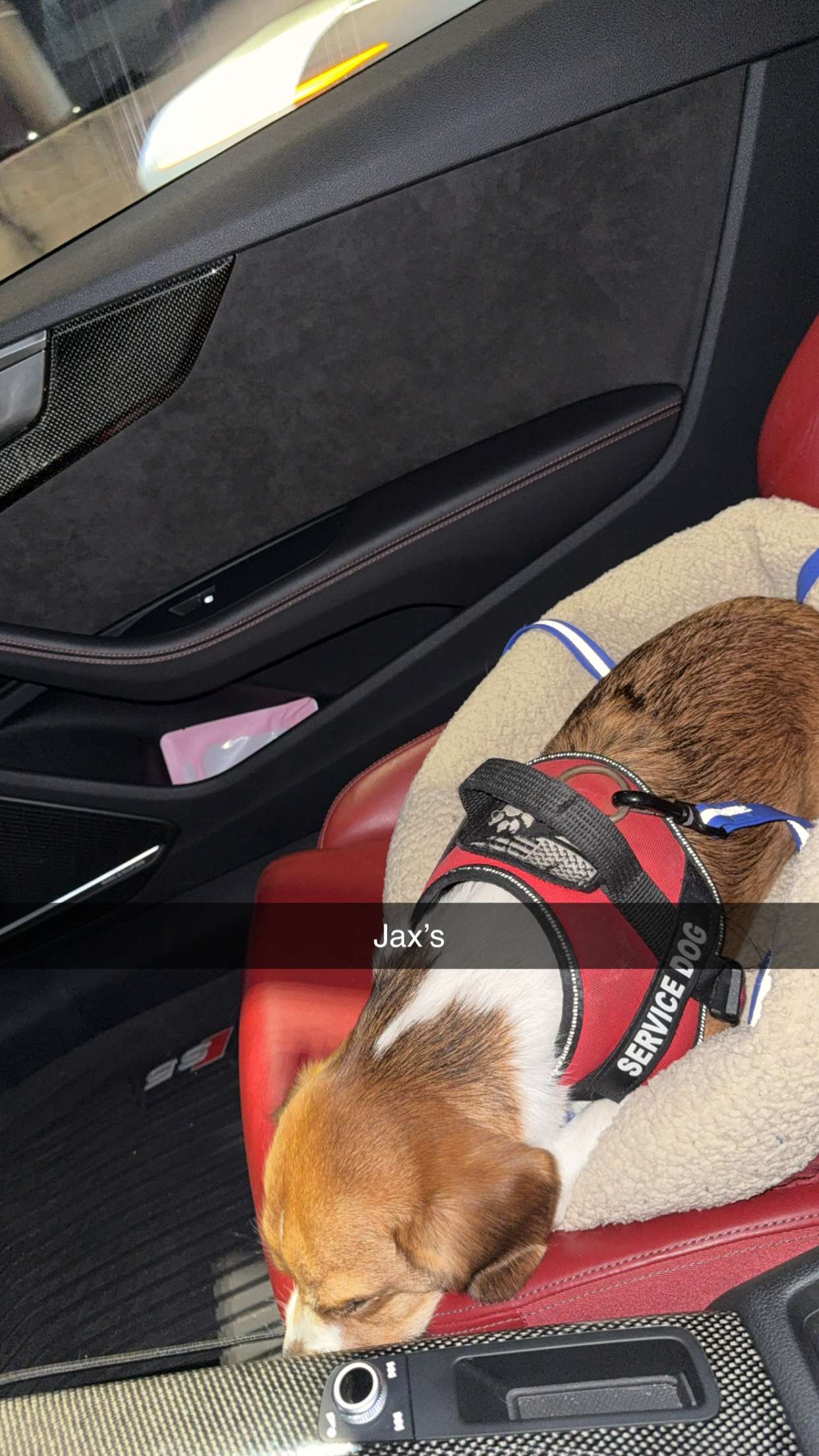 kydoddss snapchat image archive image