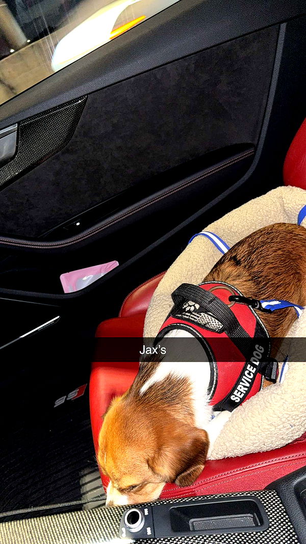 kydoddss image ~ Altpins