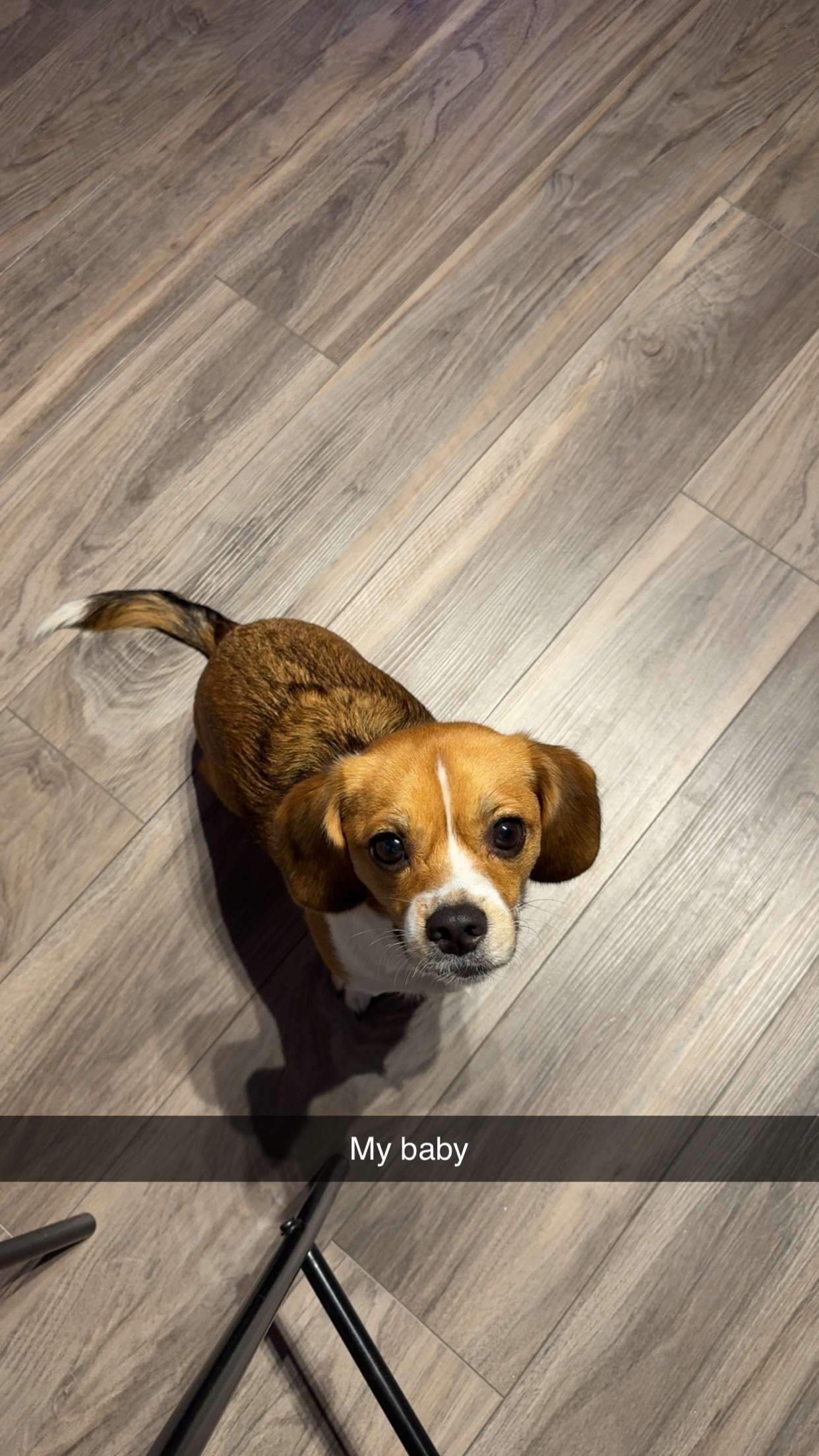 kydoddss snapchat image archive image