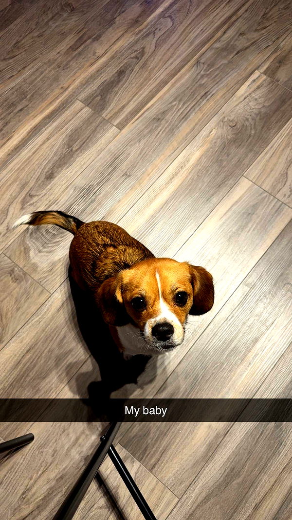 kydoddss image ~ Altpins