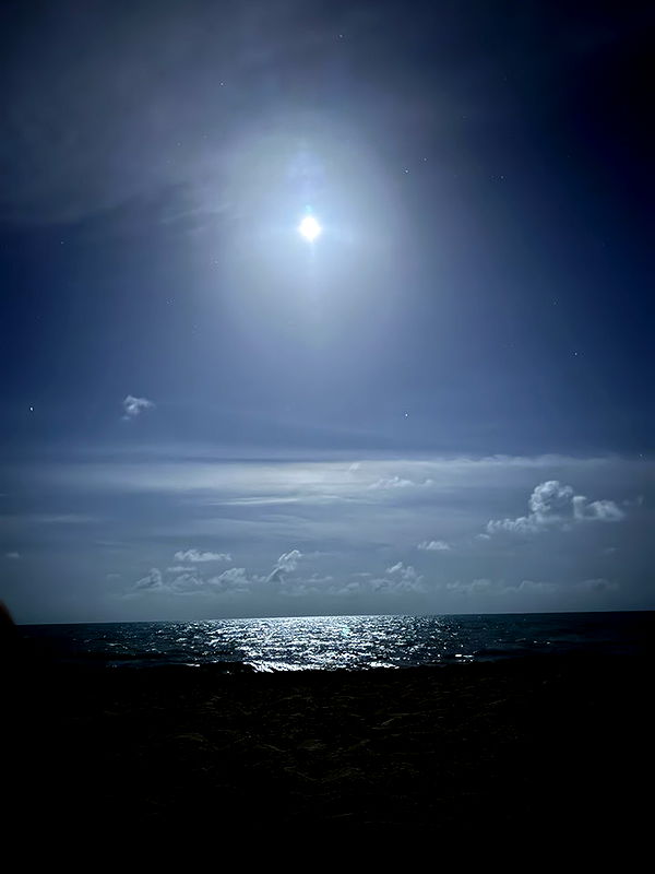 kydoddss image ~ Altpins