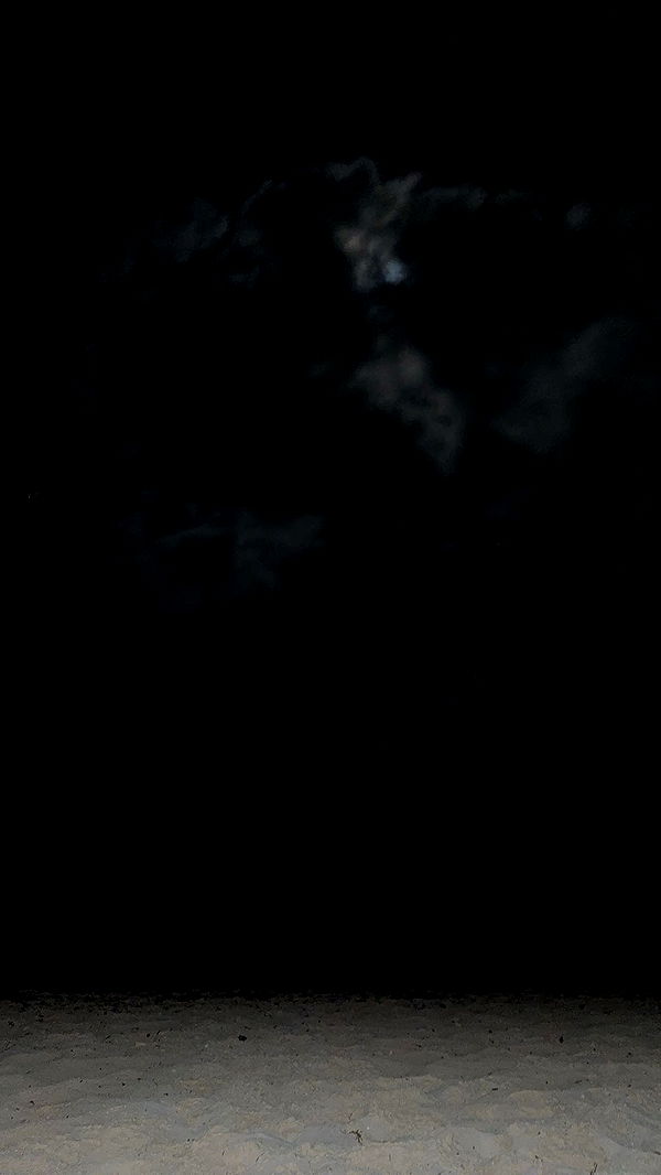 kydoddss image ~ Altpins