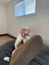 kydoddss Altpins Profile Picture