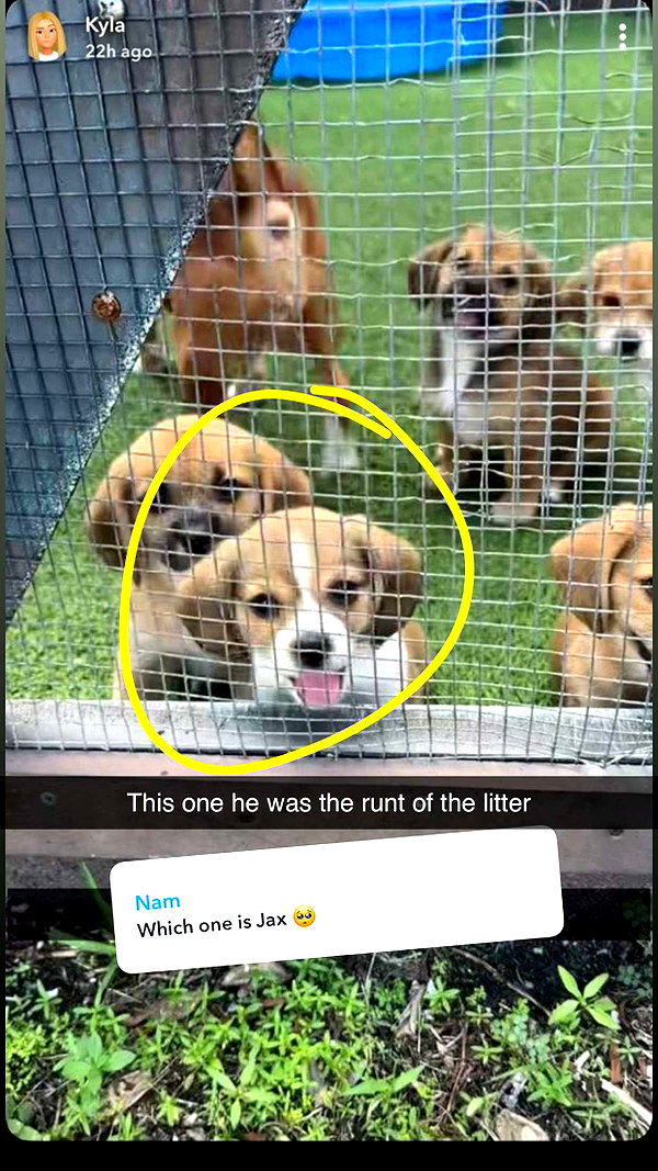 kydoddss snapchat image archive image