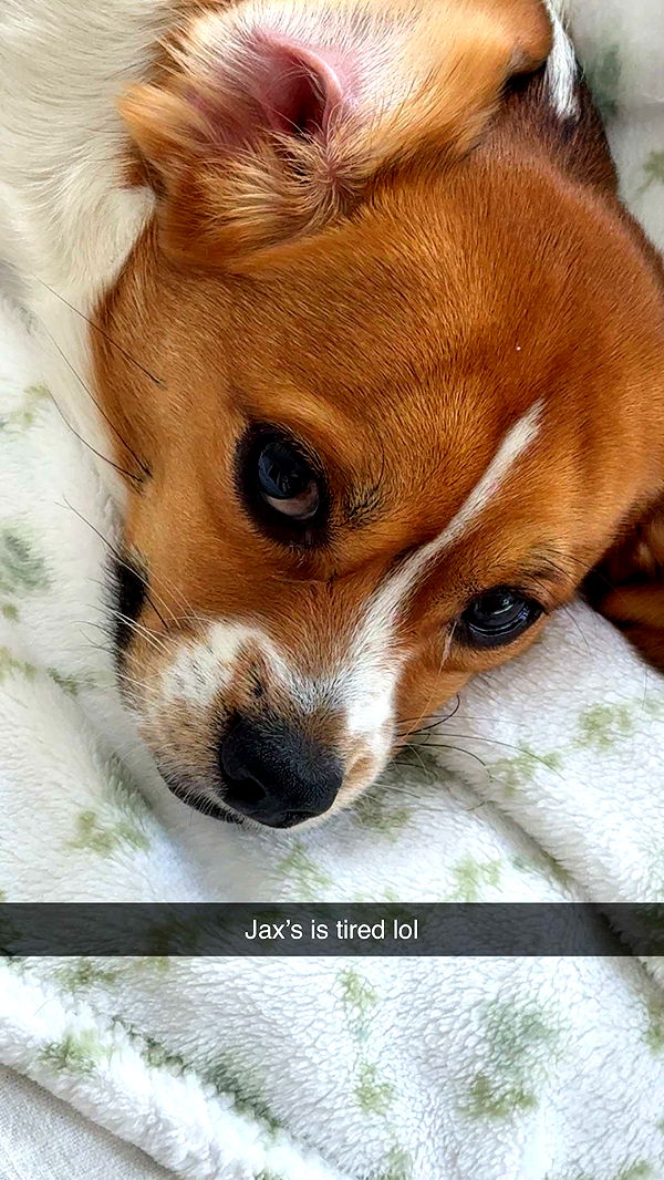 kydoddss image ~ Altpins