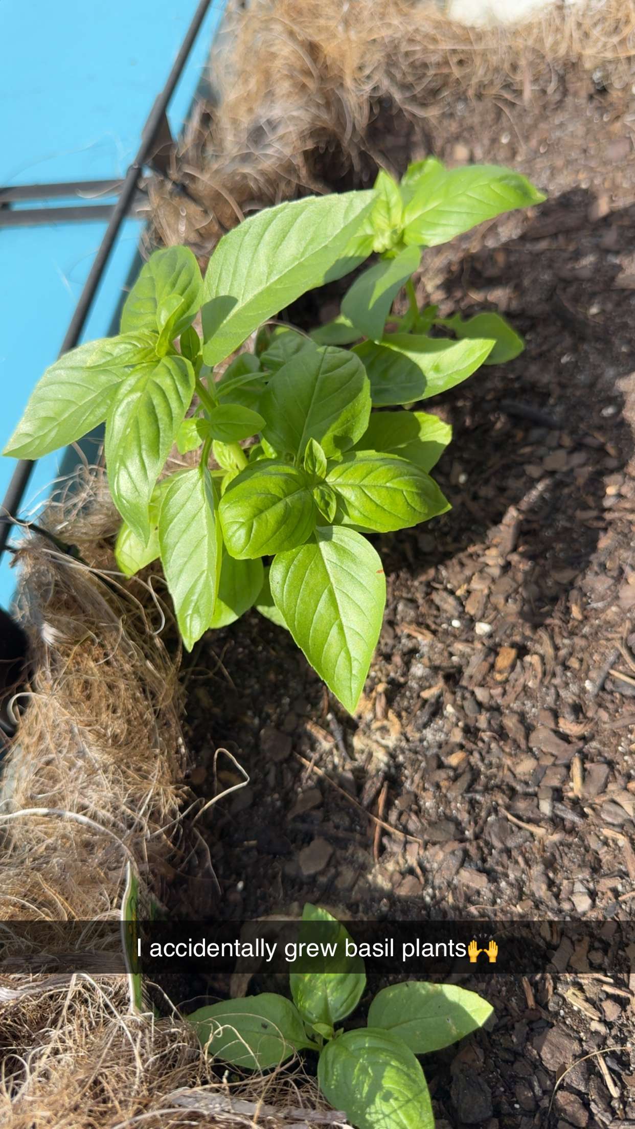 kydoddss snapchat image archive image