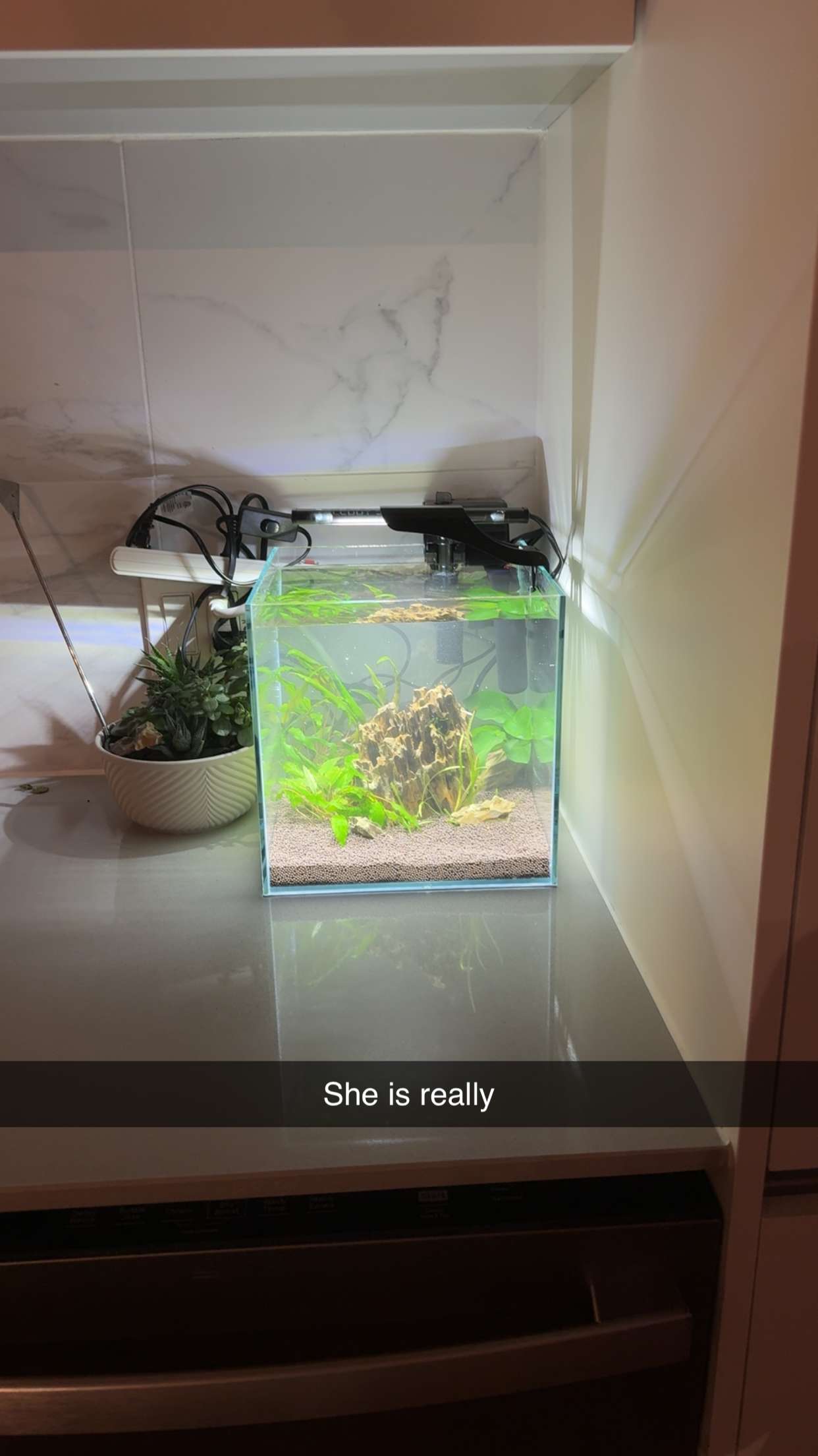 kydoddss snapchat image archive image