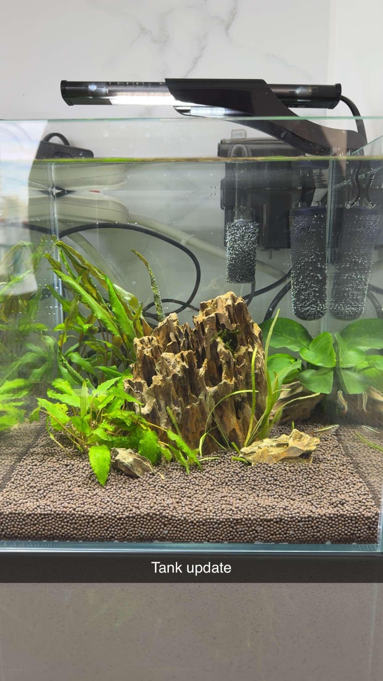 kydoddss snapchat image archive image