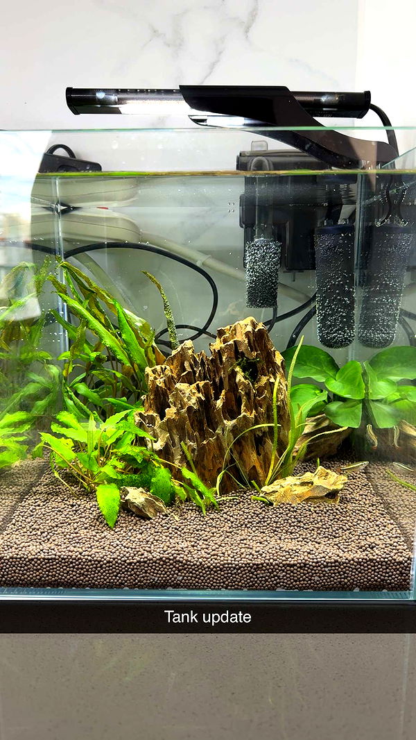 kydoddss image ~ Altpins