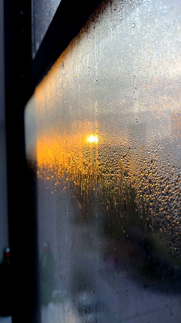 kydoddss image ~ Altpins