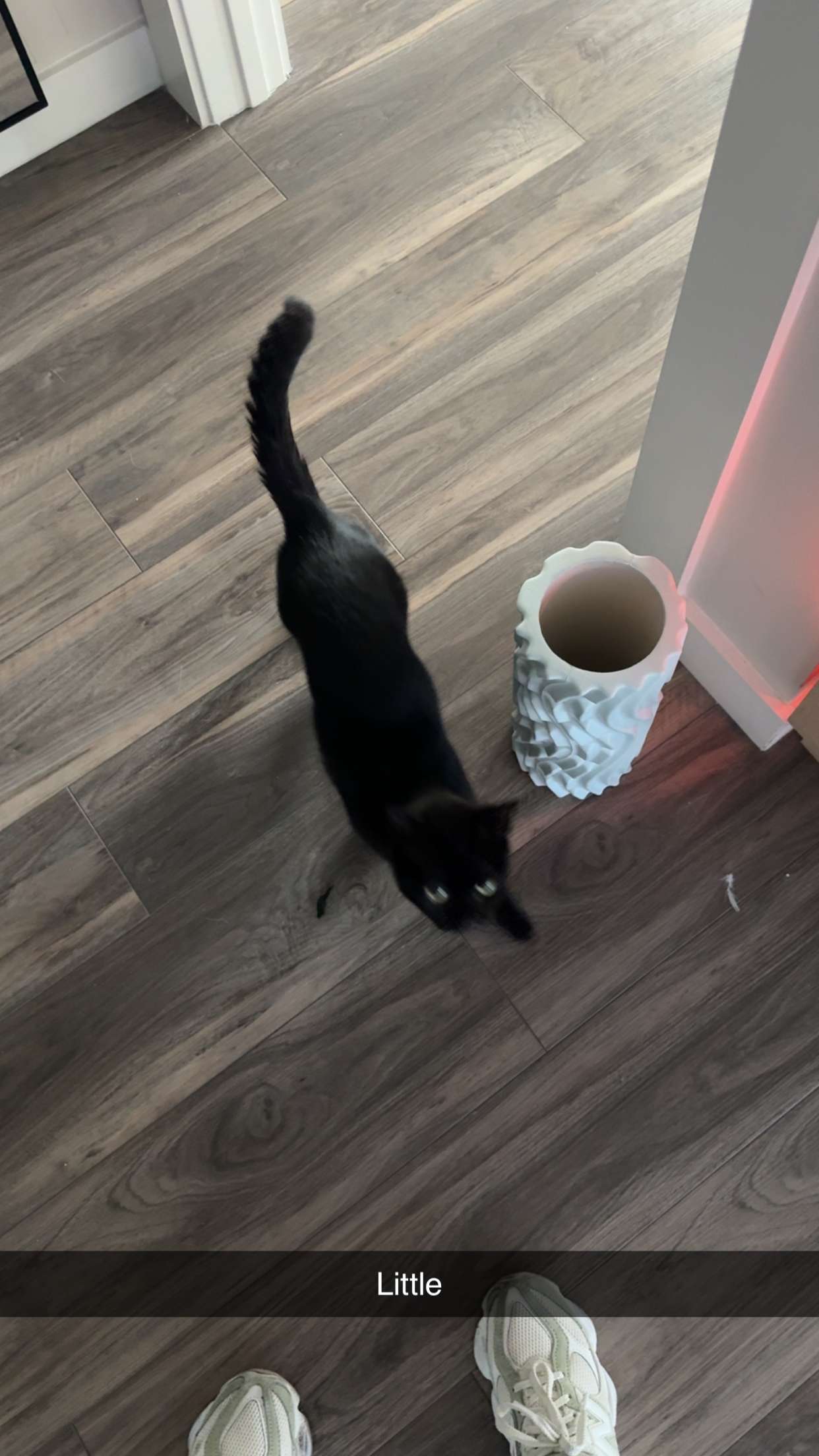 kydoddss snapchat image archive image