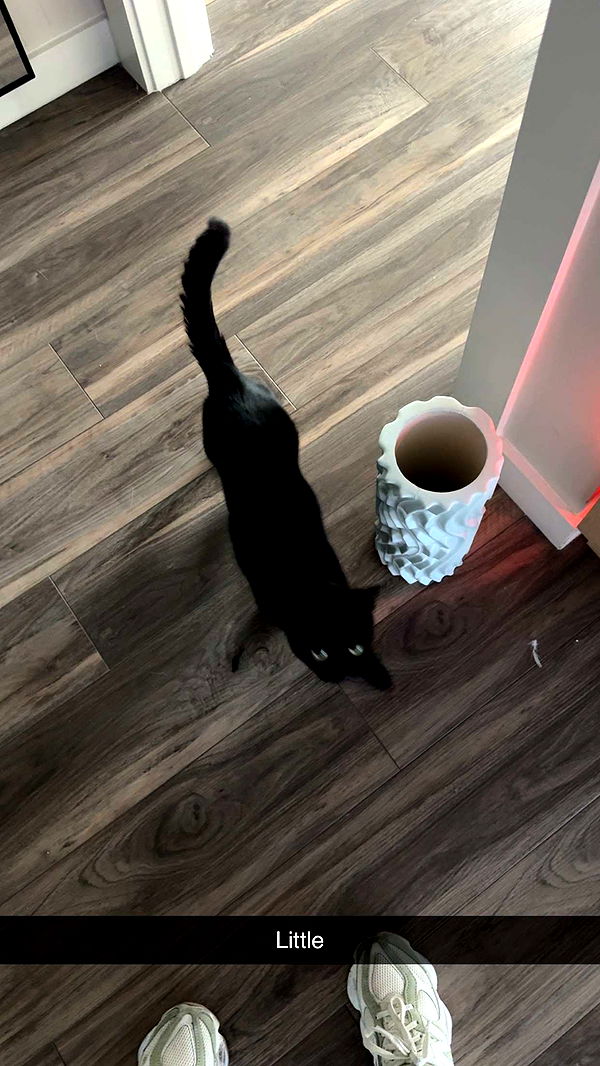 kydoddss image ~ Altpins