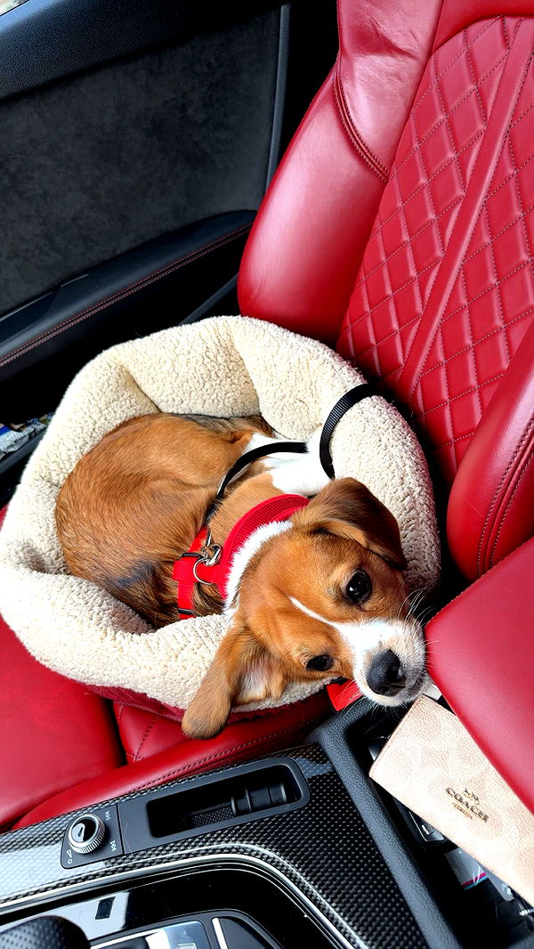 kydoddss image ~ Altpins