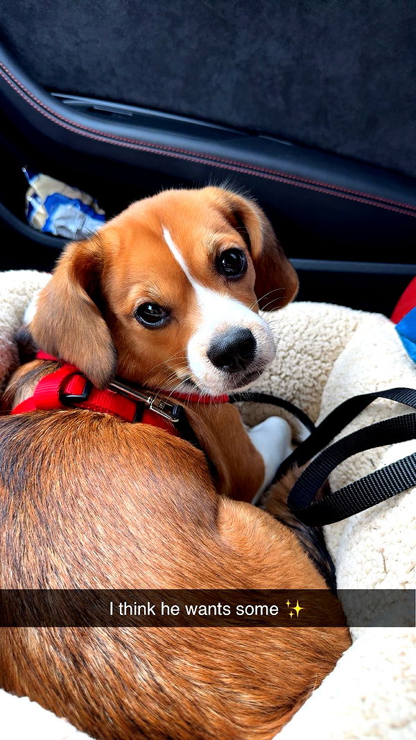 kydoddss image ~ Altpins