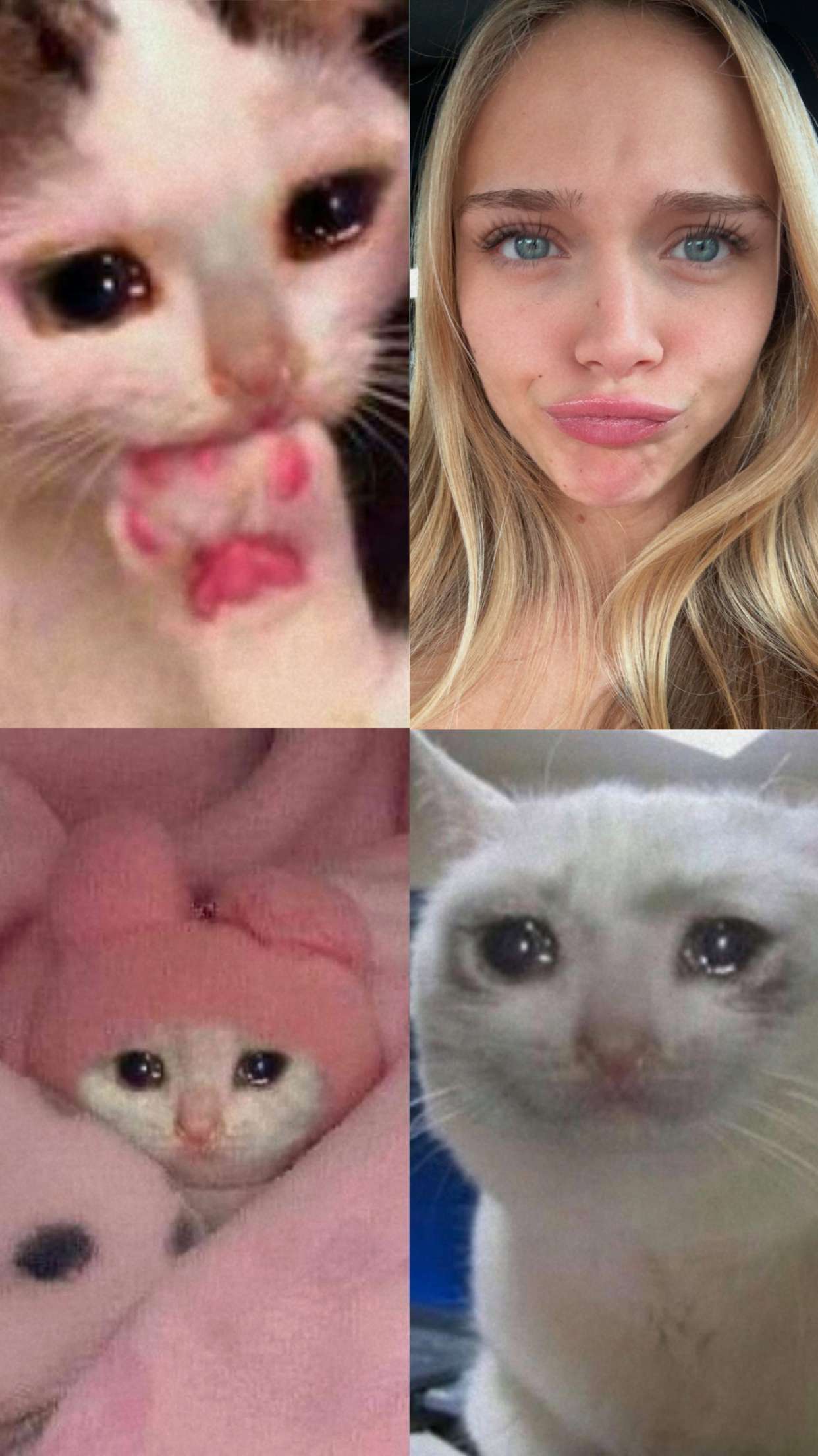 kydoddss snapchat image archive image