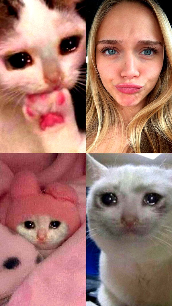 kydoddss image ~ Altpins