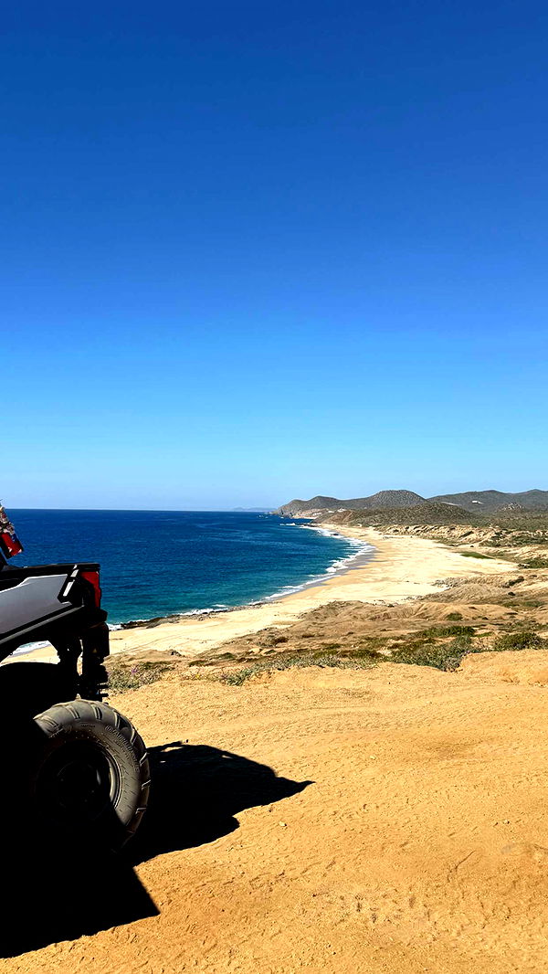 kydoddss image ~ Altpins