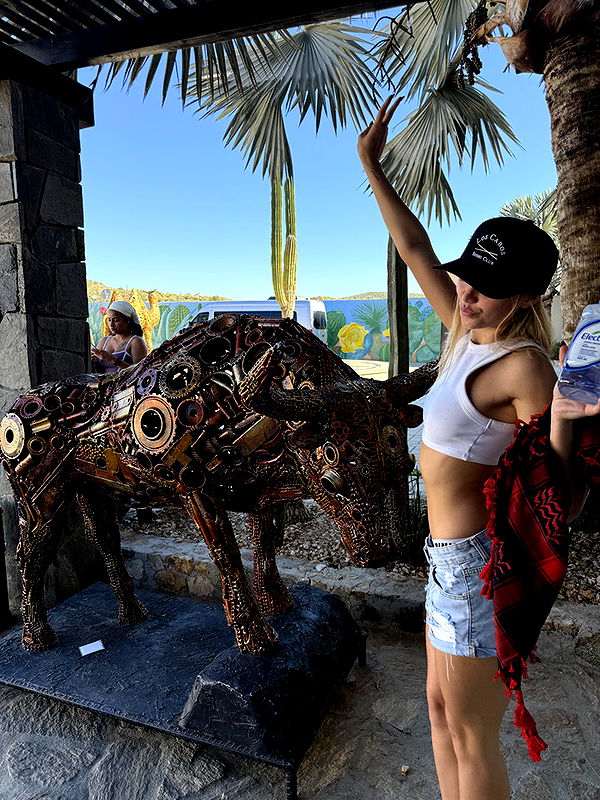 kydoddss image ~ Altpins