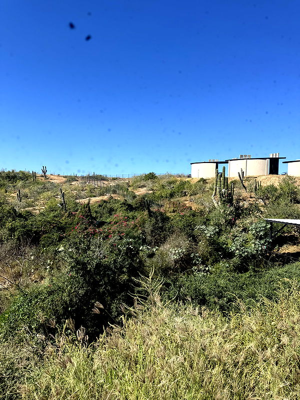 kydoddss image ~ Altpins