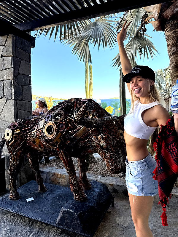 kydoddss image ~ Altpins