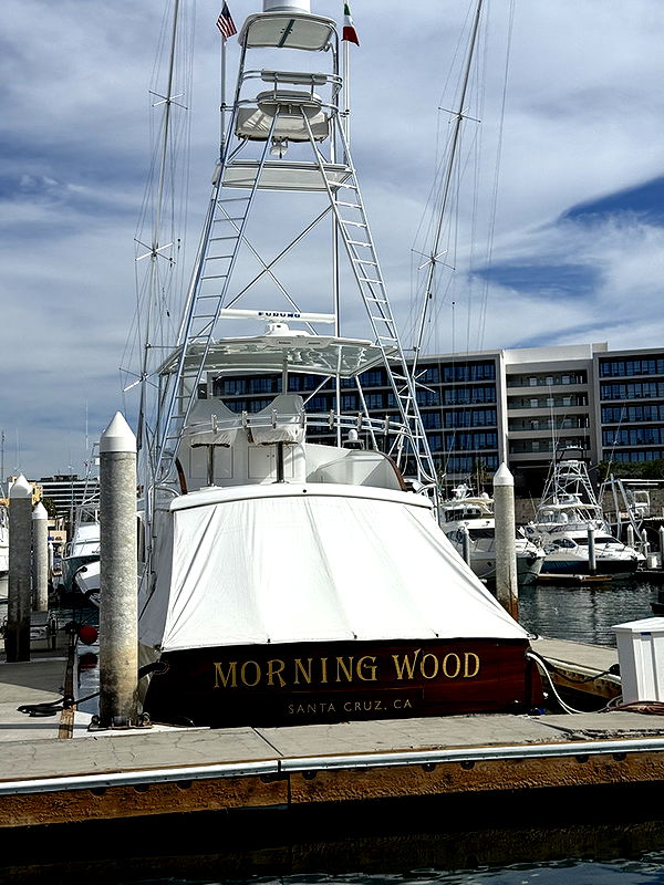 kydoddss image ~ Altpins