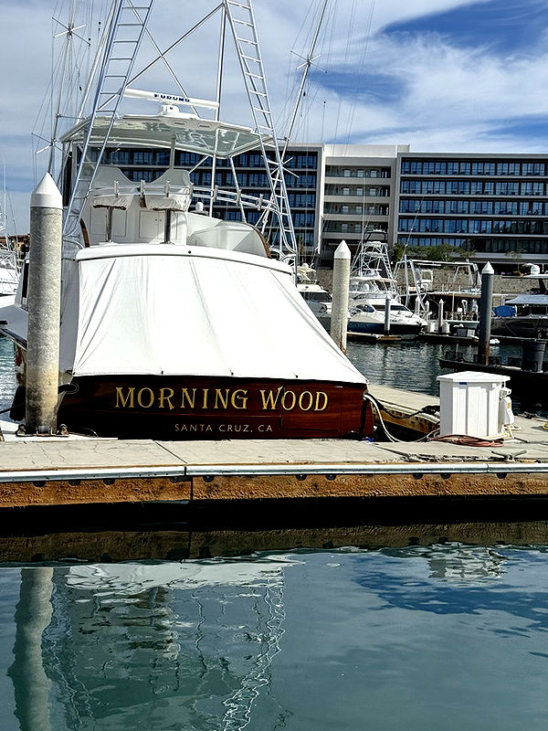 kydoddss image ~ Altpins