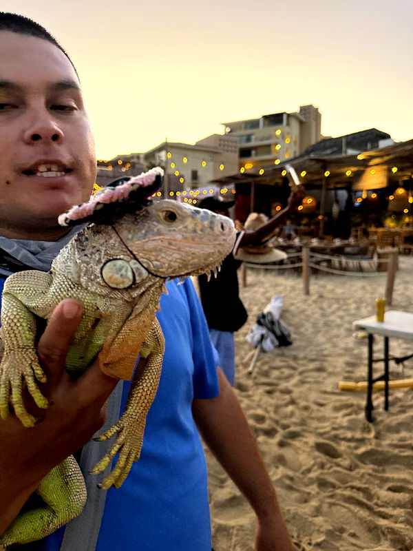 kydoddss image ~ Altpins