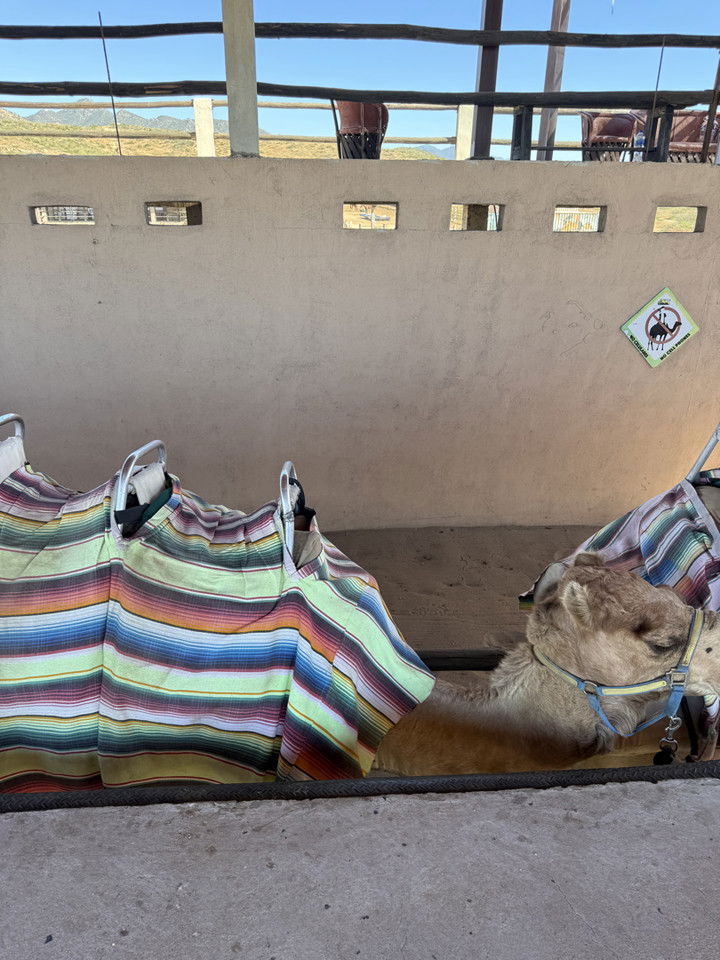 kydoddss snapchat image archive image