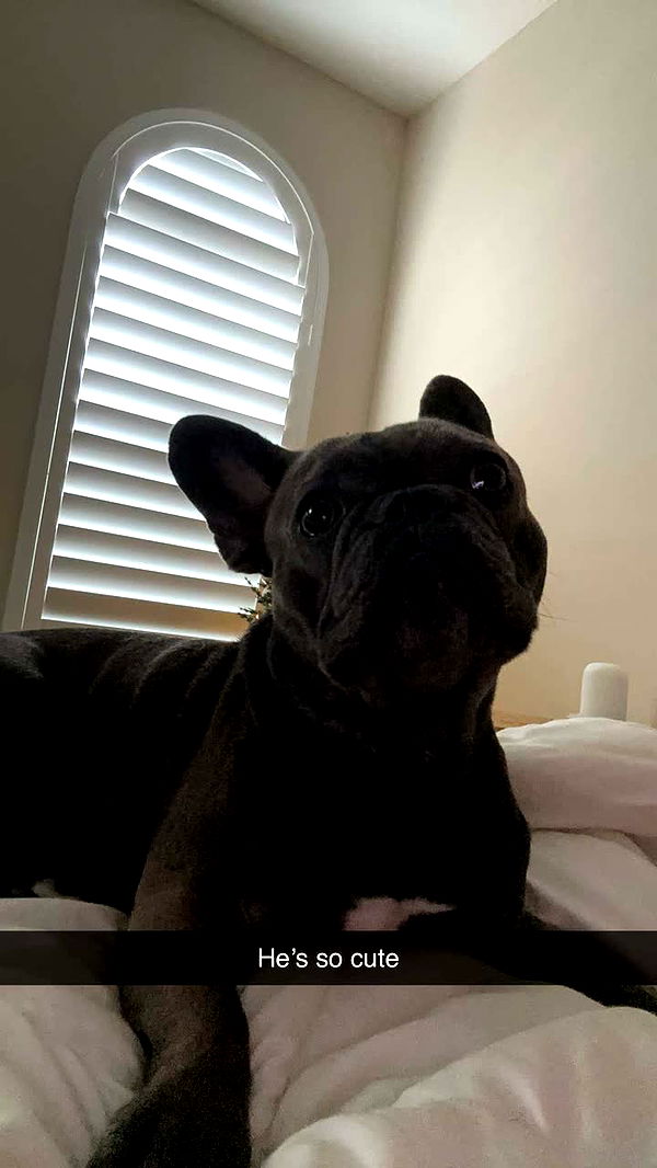 kylaayese image ~ Altpins