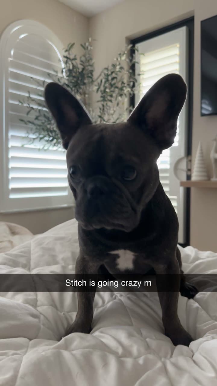 kylaayese snapchat image archive image