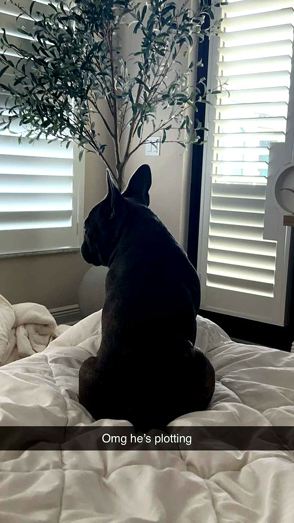 kylaayese image ~ Altpins